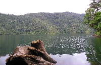 TWIN LAKES, BALINSASAYAO AND DANAO