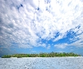 Aliguay Island, Dapitan City