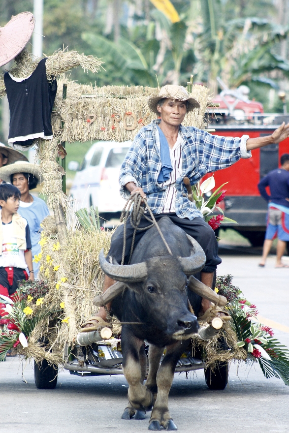 Karumata Karabaw - Barangay Fiesta