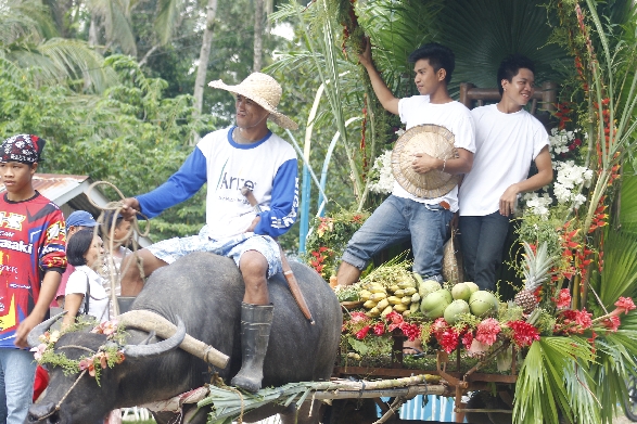 Karumata Karabaw - Barangay Fiesta