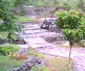 Concrete steps took over natural foot paths