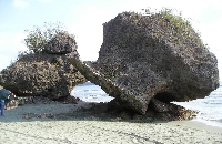 Agno Umbrella Rocks