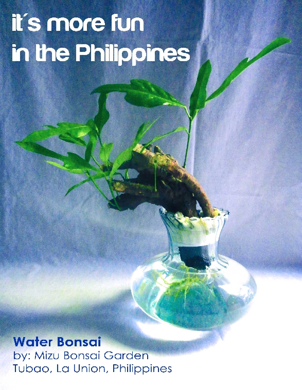 Water Bonsai Plant