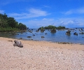 Divinubo Island, Borongan