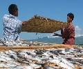 Dried Fish Industry, Balanga