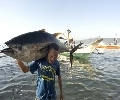 Tuna in Pagadian